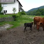 Πανσιόν Haus Zur Orke *