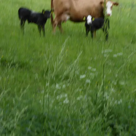 Haus Zur Orke ゲストハウス ヴィンターベルク