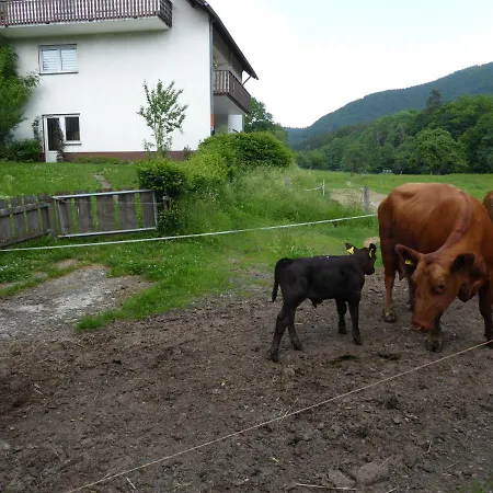 Pensjonat Haus Zur Orke *