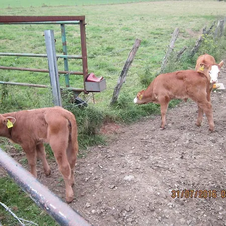 Haus Zur Orke * ヴィンターベルク