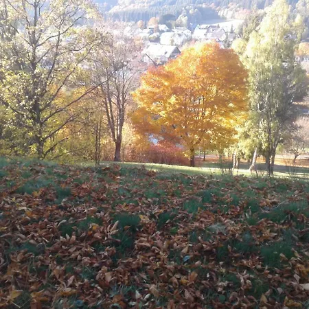 Affittacamere Haus Zur Orke Winterberg