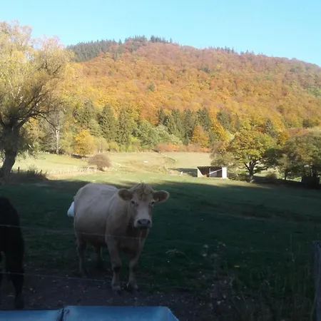 Haus Zur Orke Πανσιόν