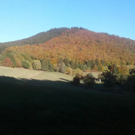 Haus Zur Orke ゲストハウス