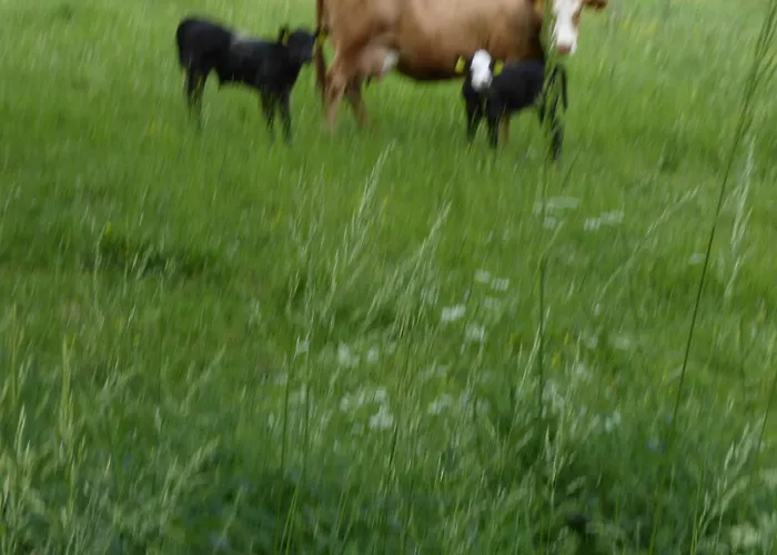 Haus Zur Orke ゲストハウス ヴィンターベルク