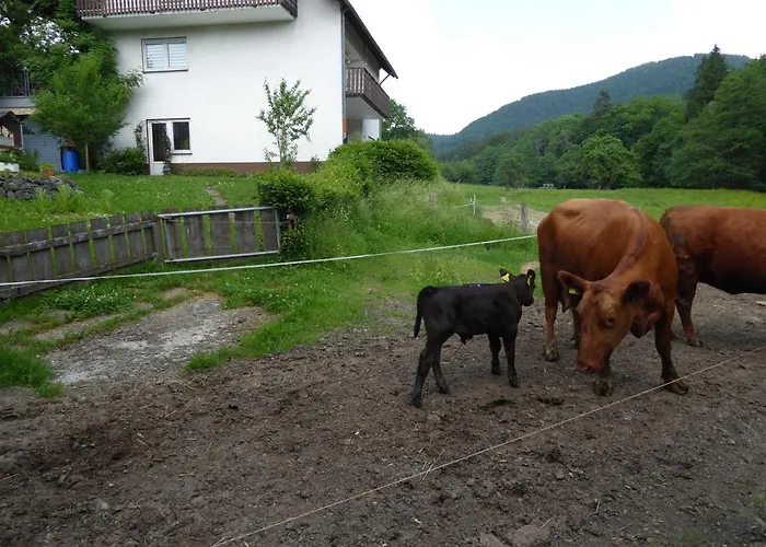 Affittacamere Haus Zur Orke *