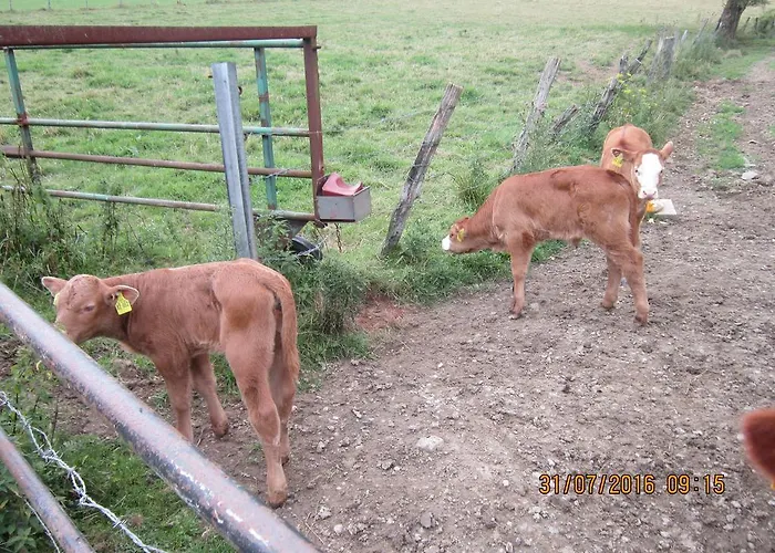 Haus Zur Orke * ヴィンターベルク