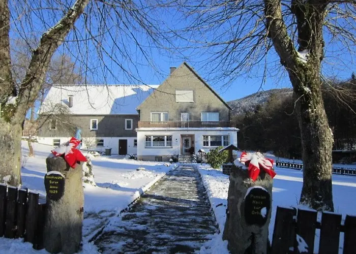 Affittacamere Haus Zur Orke Winterberg