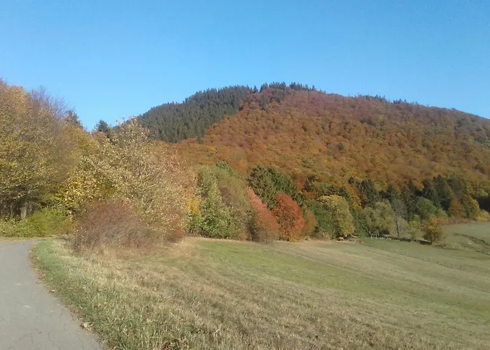 Haus Zur Orke Affittacamere Winterberg