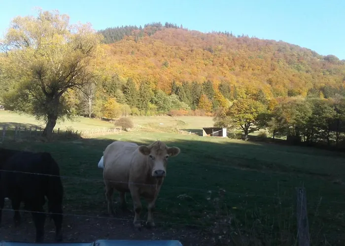 Haus Zur Orke Affittacamere